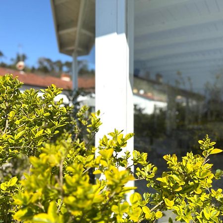 Le Village Sarzana Eksteriør bilde